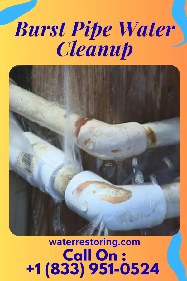 Burst Pipe Water Cleanup in Panama City, FL