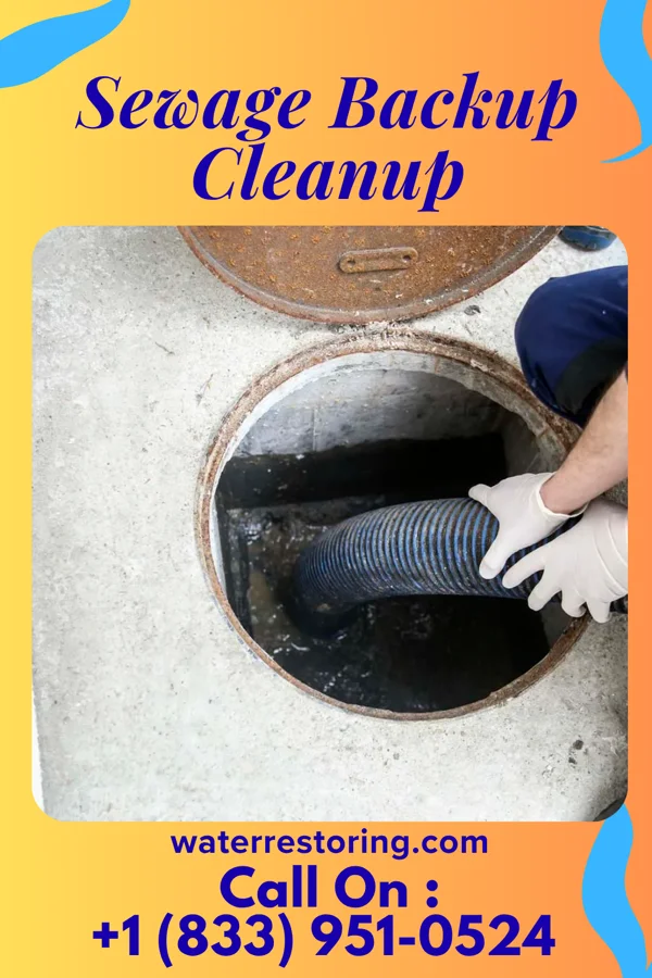 Sewage Backup Cleanup in Panama City, FL